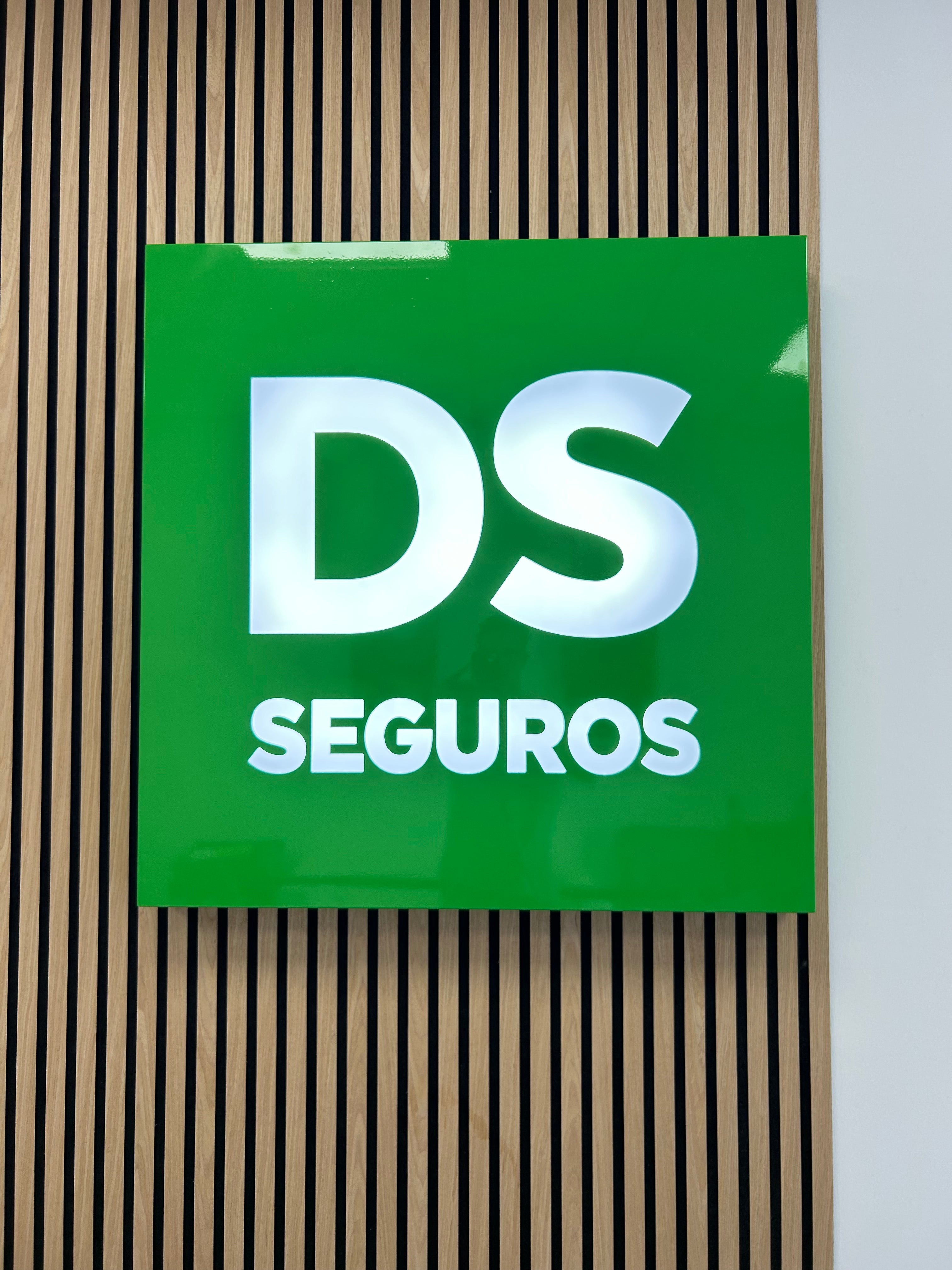 DS SEGUROS